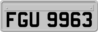 FGU9963