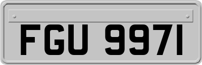 FGU9971
