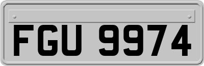 FGU9974
