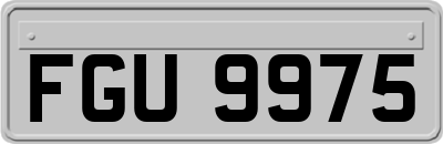 FGU9975