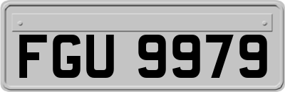 FGU9979