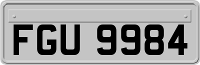 FGU9984