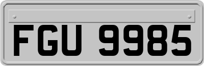 FGU9985