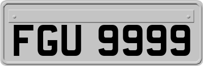 FGU9999
