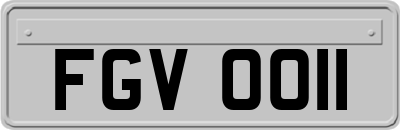 FGV0011