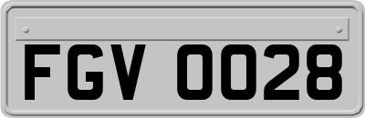 FGV0028