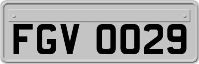 FGV0029
