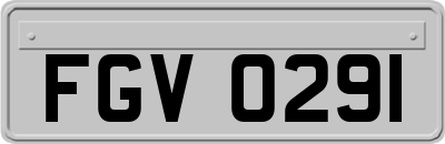 FGV0291
