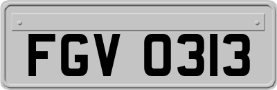 FGV0313