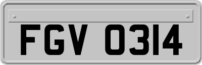 FGV0314