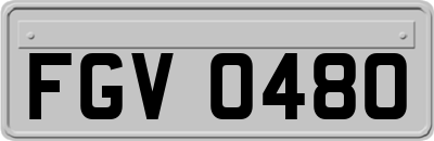 FGV0480