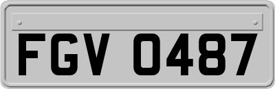 FGV0487