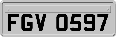 FGV0597