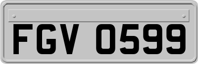 FGV0599