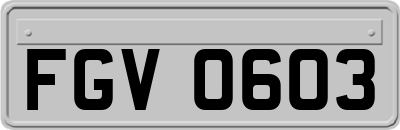 FGV0603