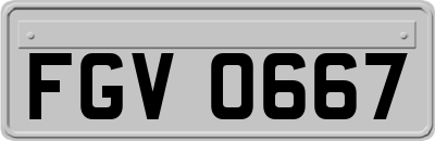 FGV0667