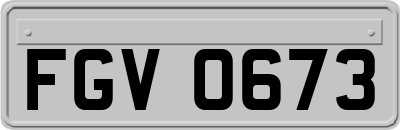 FGV0673
