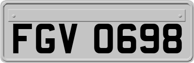 FGV0698