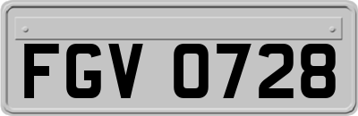 FGV0728