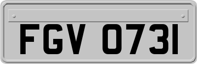 FGV0731