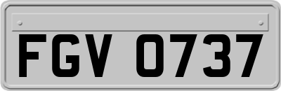 FGV0737