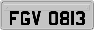 FGV0813