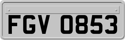 FGV0853