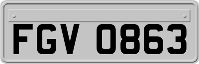 FGV0863