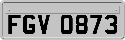 FGV0873