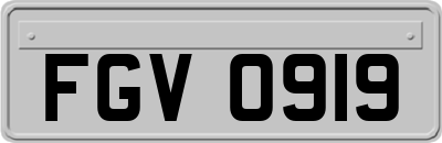 FGV0919