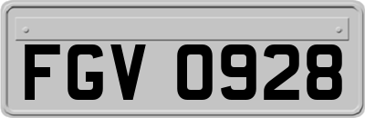 FGV0928