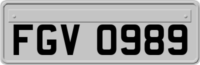 FGV0989