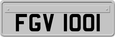 FGV1001