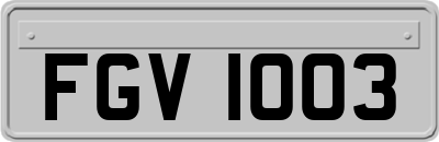 FGV1003