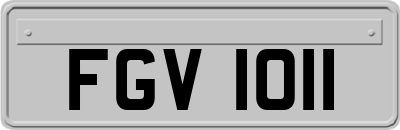 FGV1011