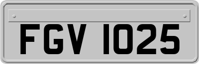 FGV1025