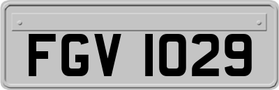 FGV1029
