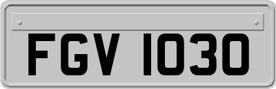 FGV1030
