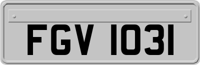 FGV1031