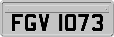 FGV1073