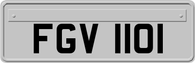 FGV1101