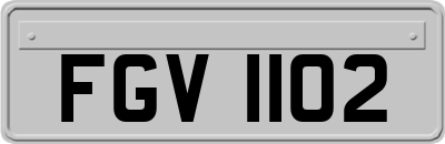 FGV1102