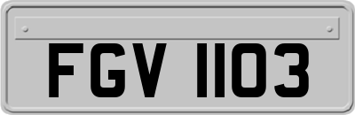 FGV1103