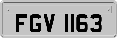 FGV1163