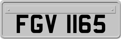FGV1165