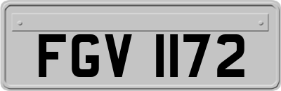 FGV1172