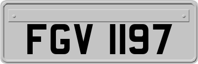 FGV1197