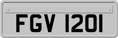 FGV1201