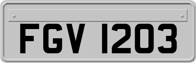 FGV1203