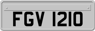 FGV1210